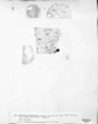 Naetrocymbe punctiformis image
